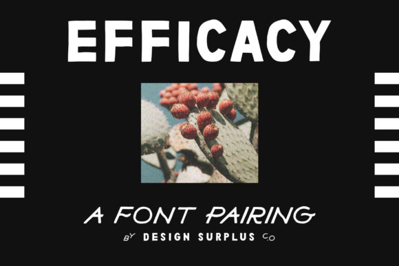 Efficacy: A Bold Display Font That Elevates Small Business Branding