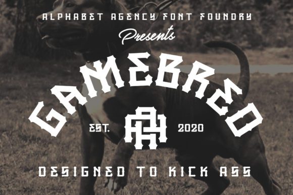 Gamebred: A Bold Display Font for High-Impact Campaign Visuals